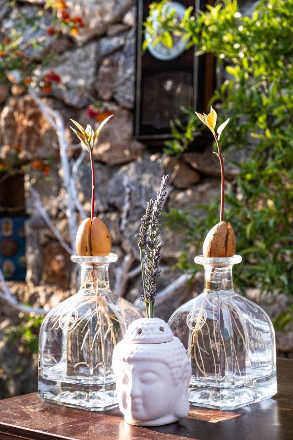 Hotel Casa Di Pietra Fethiye Exteriér fotografie